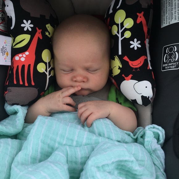 baby elephant ears pillow